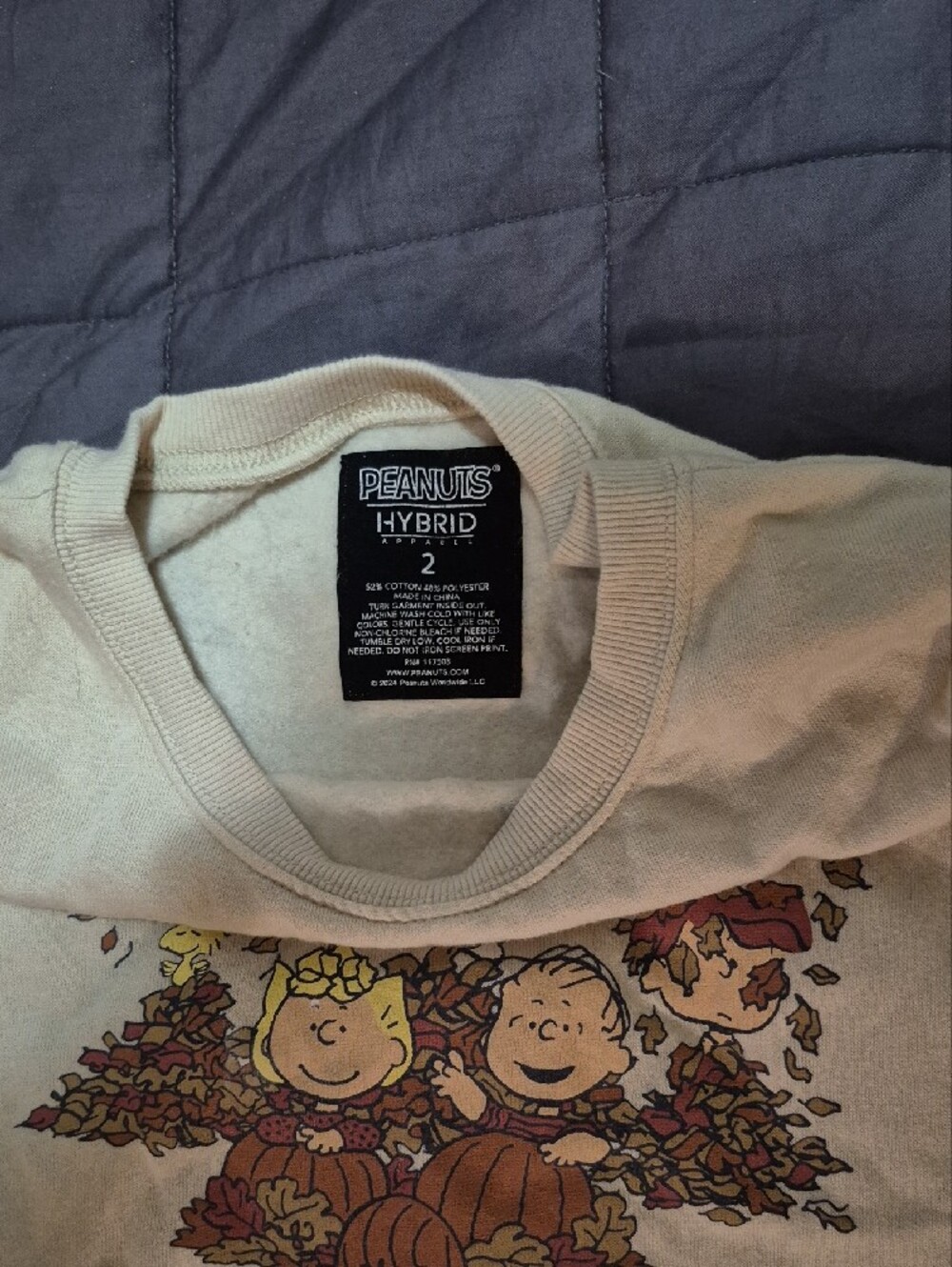 torrid Beige Peanuts Fall Graphic Crewneck Sweatshirt - Picture 2 of 3